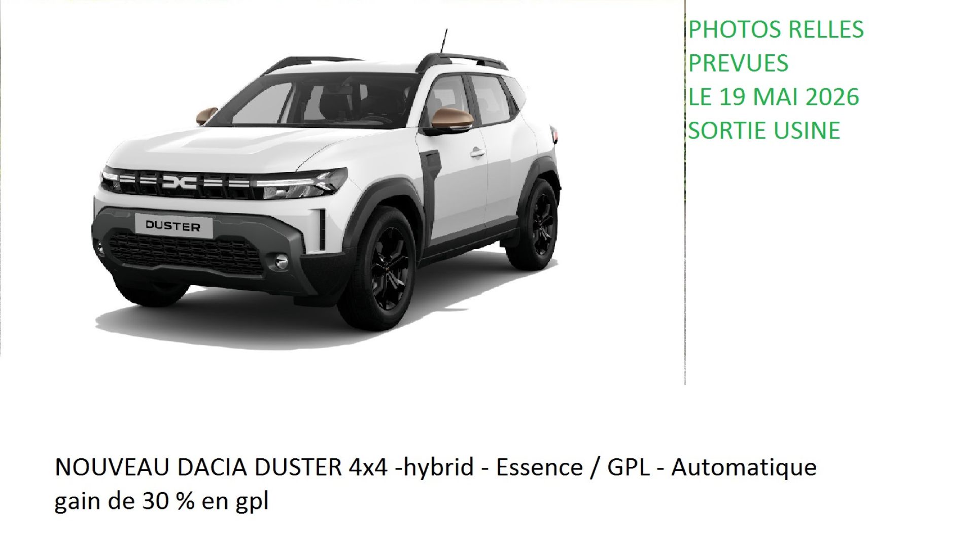 mini-DUSTER